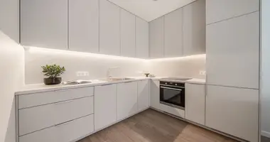 2 room apartment in Vilnius, Lithuania