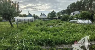 Plot of land in Muchaviecki sielski Saviet, Belarus