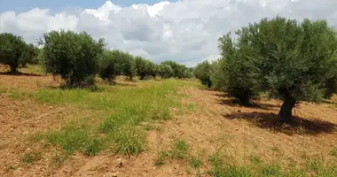Terrain dans Nikiti, Grèce