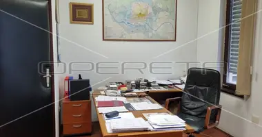 Propiedad comercial 430 m² en Zagreb, Croacia