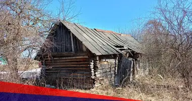 Дом в Туринский сельский Совет, Беларусь