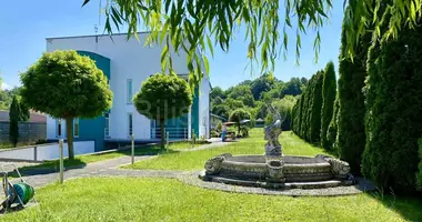 Villa 8 zimmer in Opcina Cernik, Kroatien