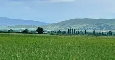 Działka w Tsilkani, Gruzja