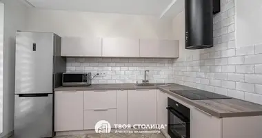 1 bedroom apartment in Minsk, Belarus