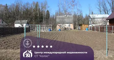 Plot of land in Piatryskauski sielski Saviet, Belarus