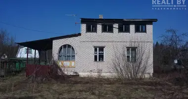 Дом в Подлесье, Беларусь