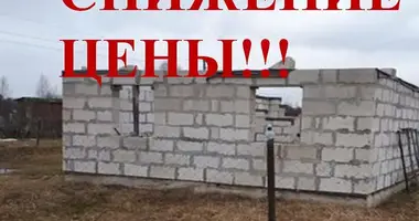 House in Zarecca, Belarus