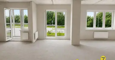 Apartment in Minsk, Belarus