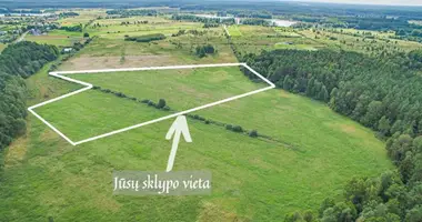Участок земли в Senasis Tarpupis, Литва