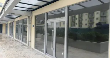 Commercial property in Podgorica, Montenegro