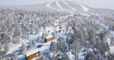Cottage in Kemijarvi, Finland
