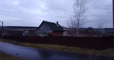 House in Bialynicy, Belarus