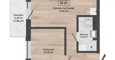 Apartment in Kalodziscanski sielski Saviet, Belarus