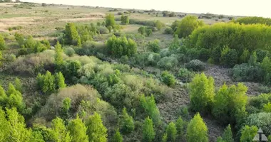 Plot of land in Rucavas pagasts, Latvia