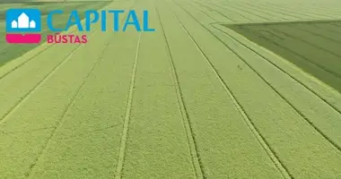 Terrain dans Alytus, Lituanie