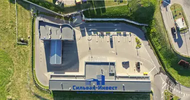 Коммерческое помещение 918 м² в Минск, Беларусь
