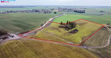 Дом в Паневежис, Литва