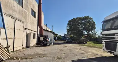 Zakład produkcyjny 650 m² w Pivdenne, Ukraina
