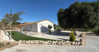 Plot of land in Algorfa, Spain