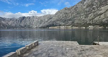 Apartamento 1 habitacion en Kotor, Montenegro