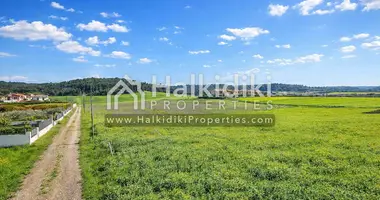Plot of land in Kassandra Municipality, Greece