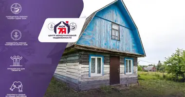 House in Svabski sielski Saviet, Belarus