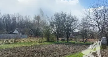 Działka w Matykalski sielski Saviet, Białoruś