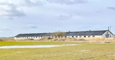 Gewerbefläche 1 389 m² in Pazasai, Litauen