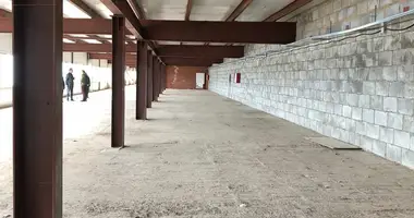 Almacén 1 647 m² en Vnukovo, Rusia