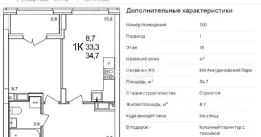 Apartment in Ankudinovka, Russia