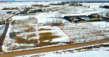 Участок земли в Kampiskiai, Литва