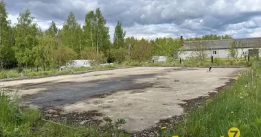 Działka w Olechnowice, Białoruś