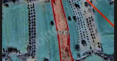 Участок земли в Killik, Турция