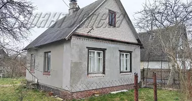 House in Brest District, Belarus