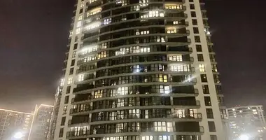 1 bedroom apartment in Minsk, Belarus