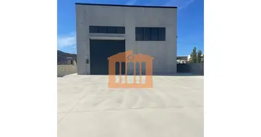 Производство 2 000 м² в Дуррес, Албания