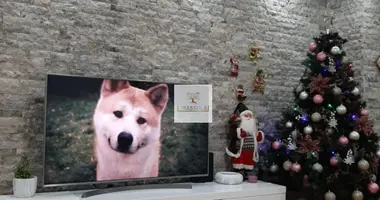 3 bedroom apartment in Budva, Montenegro