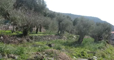 Участок земли в Петровац, Черногория