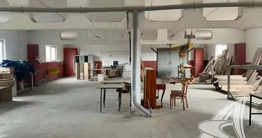 Producción 280 m² en Ciuchinicy, Belarús