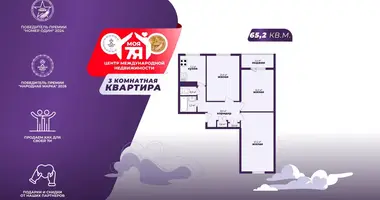 3 room apartment in Minsk, Belarus