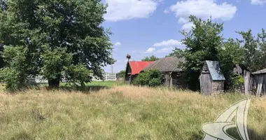 Działka w Masiewicze, Białoruś