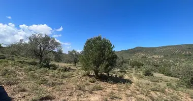 Terrain dans Yunuslar Yabancilar Yolu, Turquie