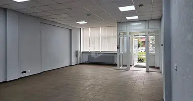 Propiedad comercial 97 m² en Minsk, Belarús
