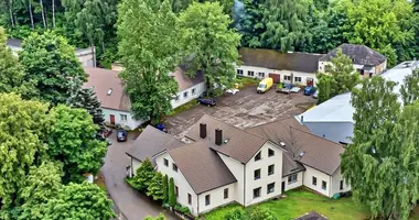 Коммерческое помещение 500 м² в Вильнюс, Литва