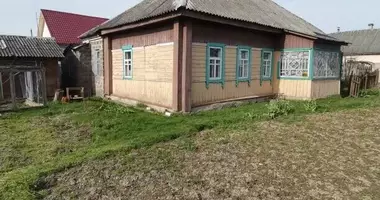 House in Orsha District, Belarus