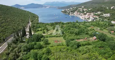 Parcela en Montenegro