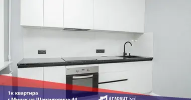 1 room apartment in Minsk, Belarus