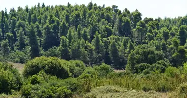 Terrain dans Siviri, Grèce