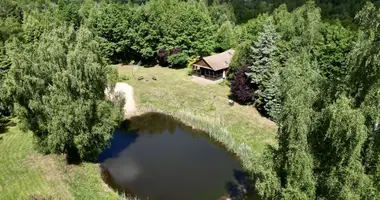 Wohnung in Nienawiszcz, Polen