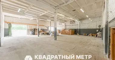 Коммерческое помещение 753 м² в Дещенский сельский Совет, Беларусь
